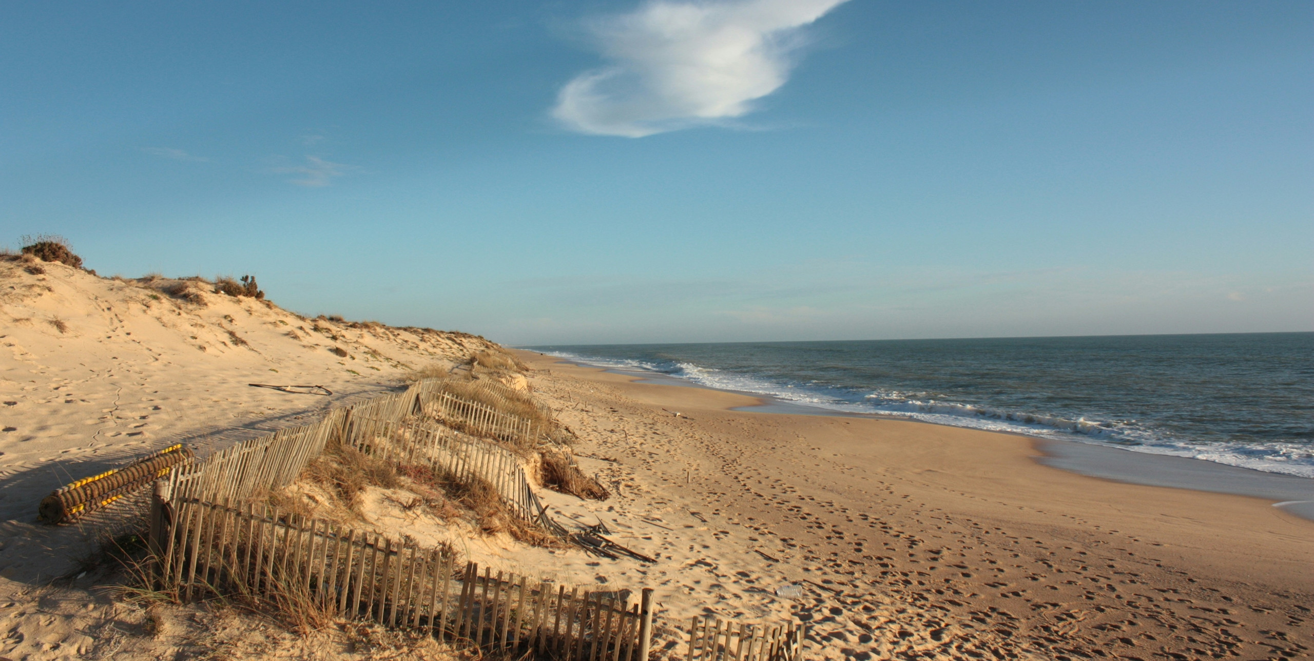1708095669_40e60cc0-cb39-44c7-88a6-2de7f4aedc4f A tranquil Algarve beachscape featuring golden sands, gentle waves, and protective dunes, perfect for relaxation or exploration.