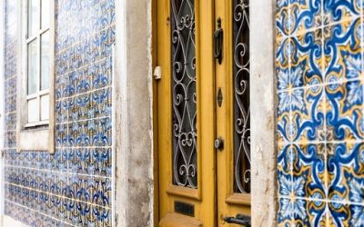 The D7 Visa explained