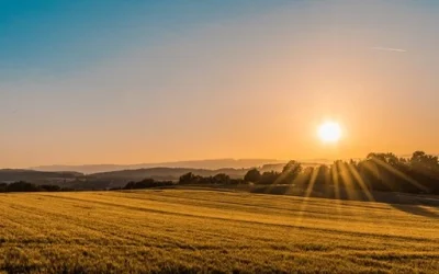 Rustic property in the Algarve